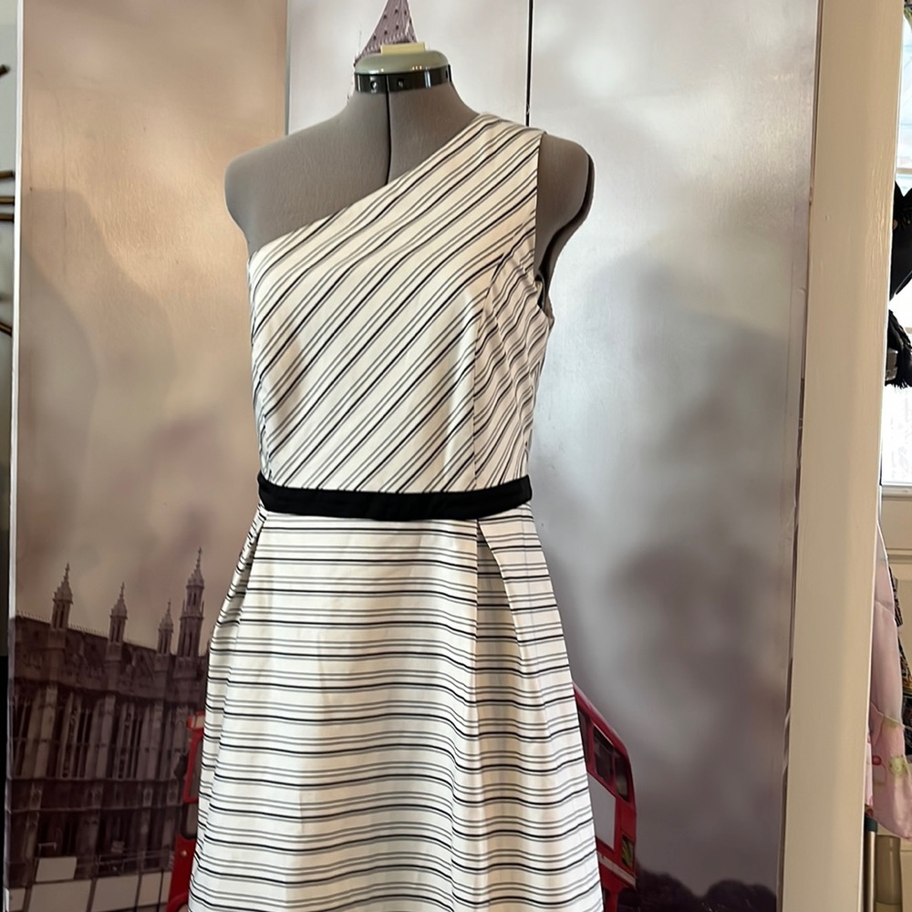 Halston Heritage Black and Chalk Striped Formal
